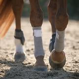 Incrediwear Circulation Exercise Bandages