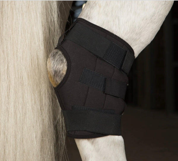 Incrediwear Circulation Hock Boot
