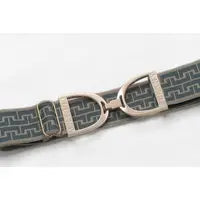Ellany Ivy Fallon - 1.5" Gold Stirrup Equestrian Elastic Belt