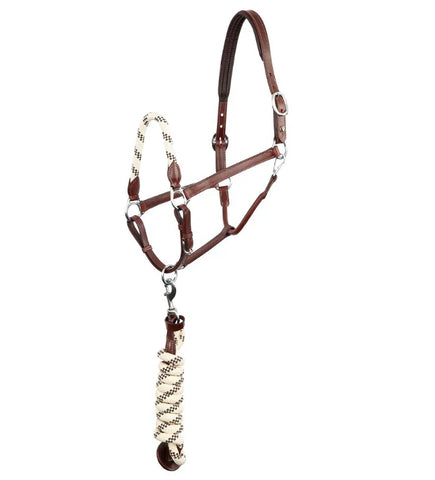 BR Dundee Halter w/Lead